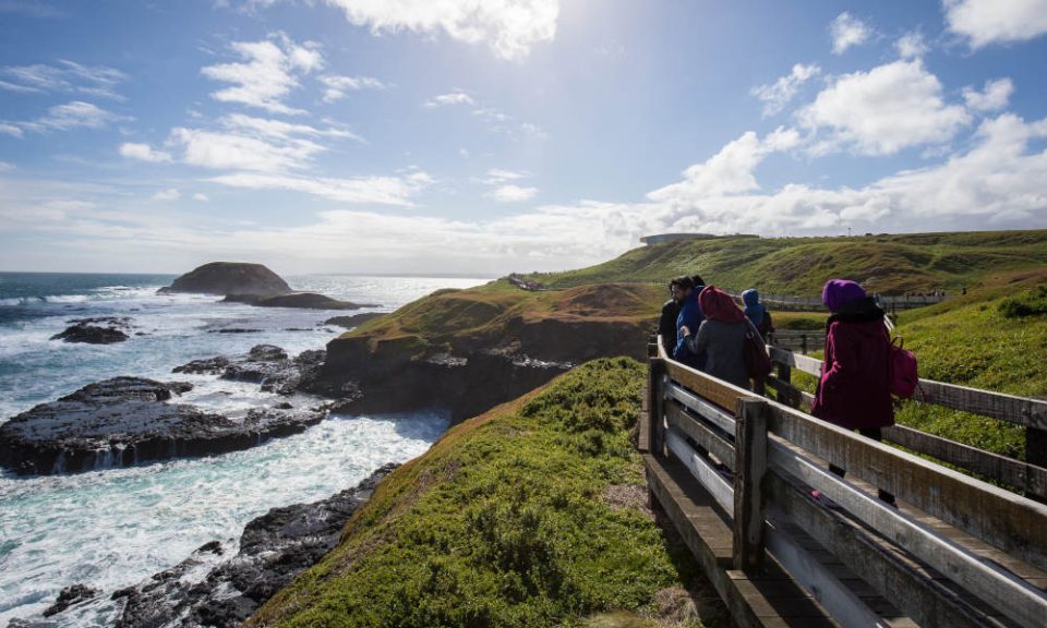 Phillip Island Private Tour
